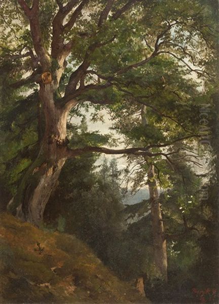 Eiche Im Park Von Burgk (?) Oil Painting by Friedrich Preller the Younger