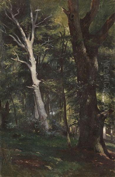 Von Der Ostsee: Buche Und Eiche Auf Dem Vilm Oil Painting by Friedrich Preller the Younger