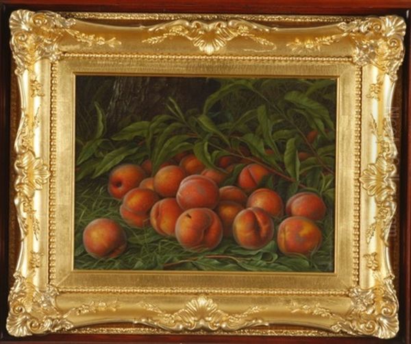 Peaches With Fly by Levi Wells Prentice