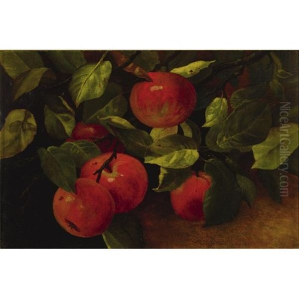 Five Apples Oil Painting by Levi Wells Prentice