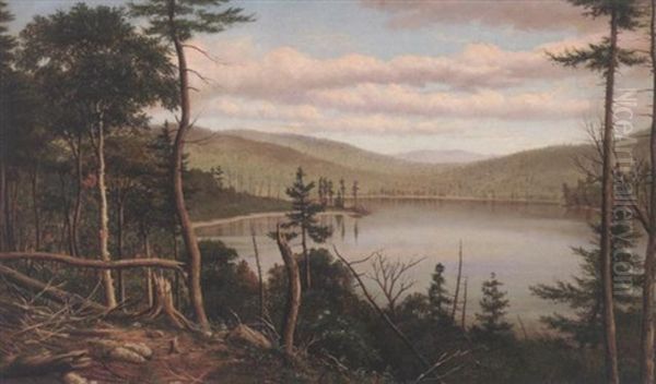 A View Of The Adirondacks Oil Painting by Levi Wells Prentice