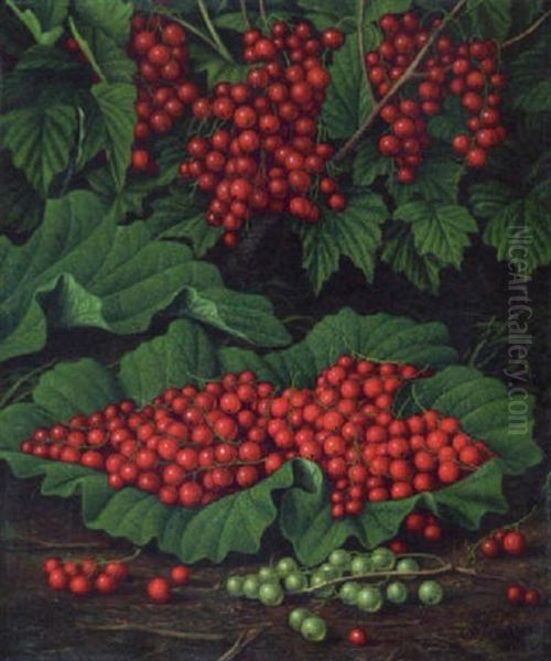 Red Currants On The Forest Floor Oil Painting by Levi Wells Prentice