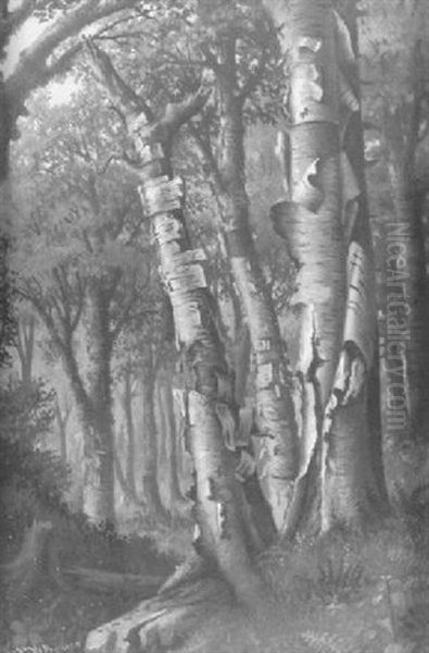 Silver Birches Oil Painting by Levi Wells Prentice