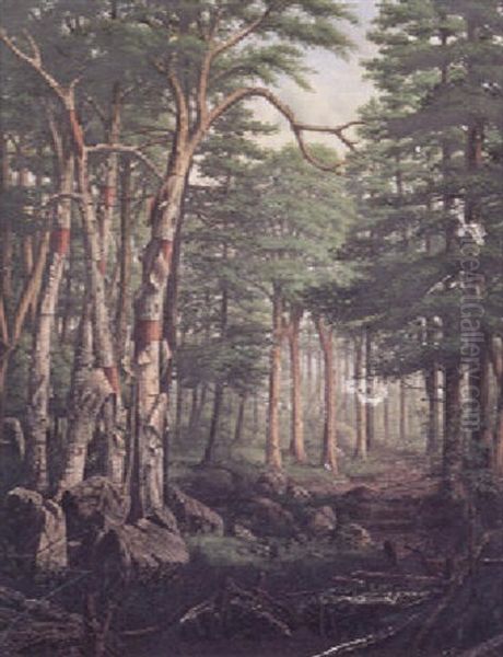 Birch Trees In Forest Oil Painting by Levi Wells Prentice