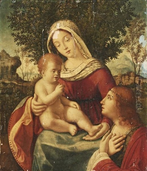 The Madonna And Child With A Female Saint Oil Painting by Andrea Previtali