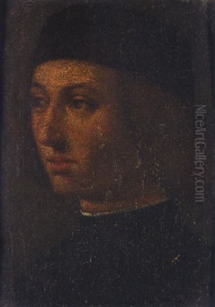 Portrait Of A Man Wearing Black Oil Painting by Andrea Previtali