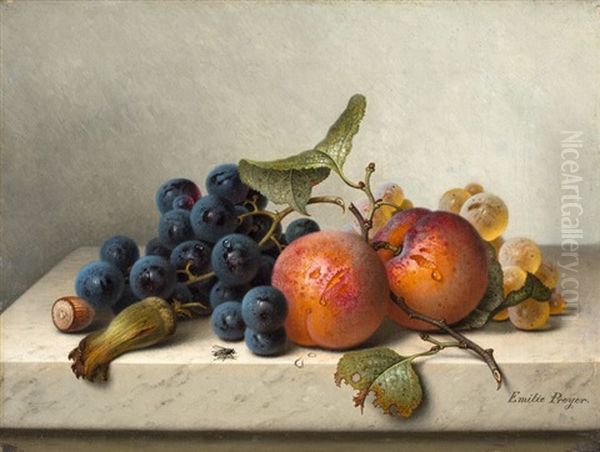 Fruchtestilleben Mit Blauen Und Weissen Weintrauben, Zwei Aprikosen Am Zweig Und Zwei Haselnussen Oil Painting by Emilie Preyer