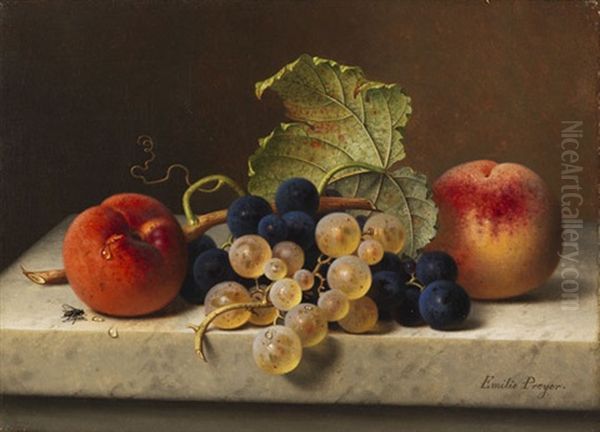 Fruchtestillleben Mit Zwei Pfirsichen Sowie Blauen Und Grunen Trauben Am Zweig Und Einem Weinblatt Auf Einer Marmortischplatte Oil Painting by Emilie Preyer