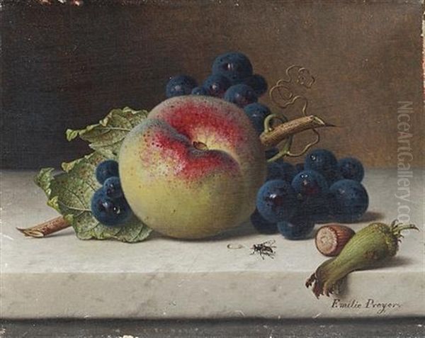 Still Life Of Fruit And Nuts On A Ledge Oil Painting by Emilie Preyer