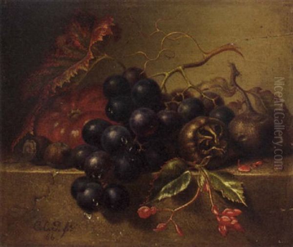 Grapes, Hazelnuts, Figs, Begonia And A Tomato, On A Stone Ledge Oil Painting by Emilie Preyer