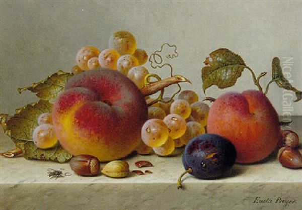 Still Life Of Fruits And Nuts On A Marble Ledge Oil Painting by Emilie Preyer