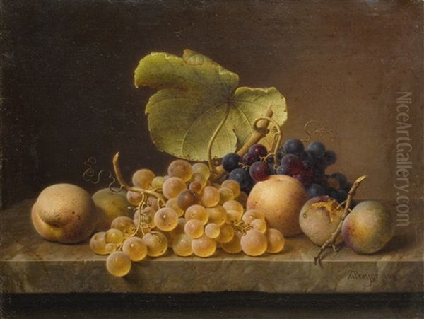 Still Life With Grapes Oil Painting by Johann Wilhelm Preyer