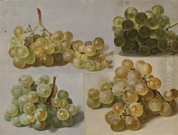 Still Life Of Grapes Oil Painting by Johann Wilhelm Preyer