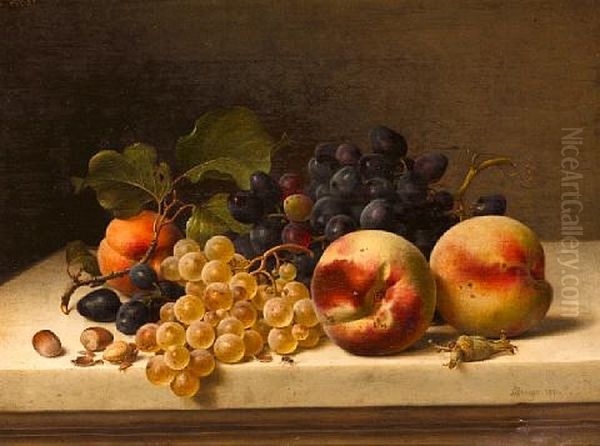 A Still Life With Peaches, Grapes And Hazelnuts Oil Painting by Johann Wilhelm Preyer