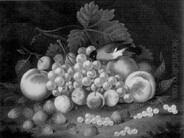 Stilleben Mit Grunem Wein, Pflaumen, Erdberen Und Dompfaff Oil Painting by Johann Wilhelm Preyer