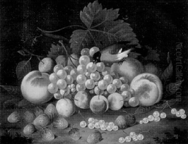 Stilleben Mit Grunem Wein, Pflaumen, Erdbeeren Und Dompfaff Oil Painting by Johann Wilhelm Preyer