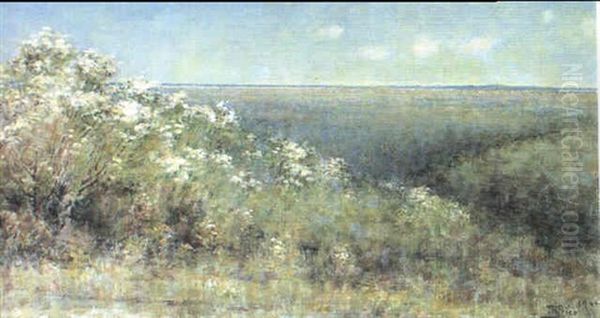 Springtime Looking From Kallista Heights Oil Painting by Jane R. Price