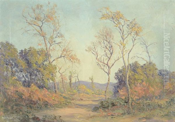 Southern California Landscape With Eucalyptus Trees And Dry Creek Bed In Late Summer Oil Painting by William Henry Price