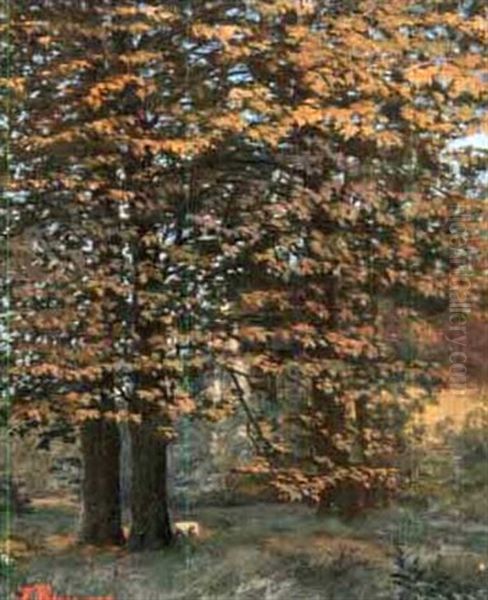 Trees In Summer Oil Painting by Francois Leon Prieur-Bardin