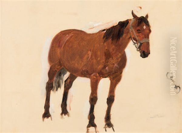 Etude De Cheval Oil Painting by Rene Pierre Charles Princeteau