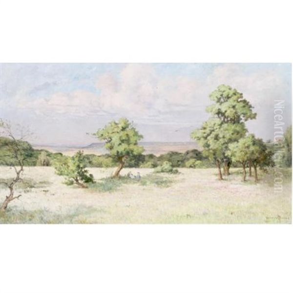 Le Plateau Ensoleille, Gros-rouvre (s Et O) Oil Painting by Pierre Ernest Prins