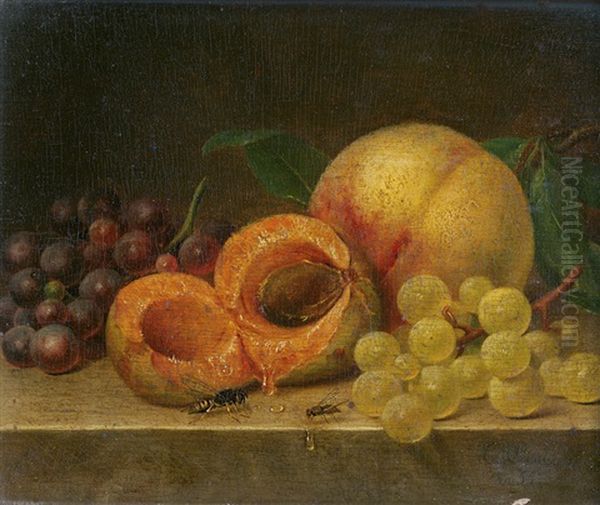 Stillleben Mit Aprikosen, Trauben, Biene Und Fliege Oil Painting by Christian August Printz