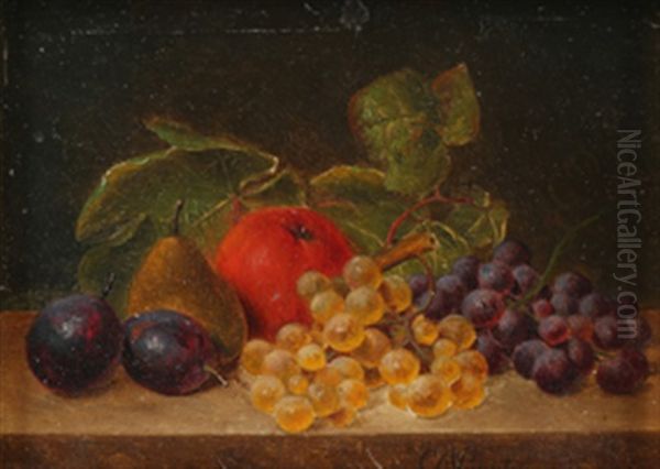 Frukt-stilleben Oil Painting by Christian August Printz