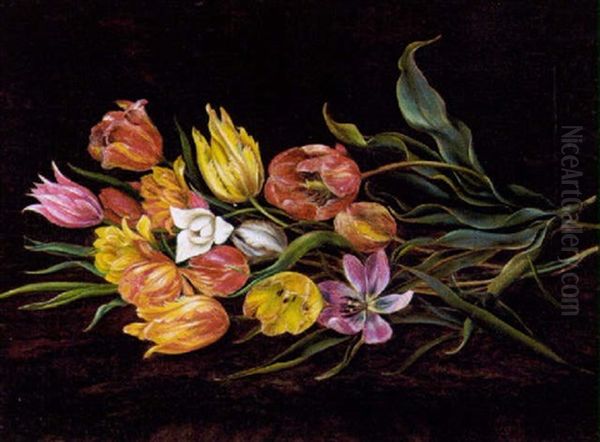 Buket Af Brogede Tulipaner Pa En Karm Oil Painting by Christian August Printz