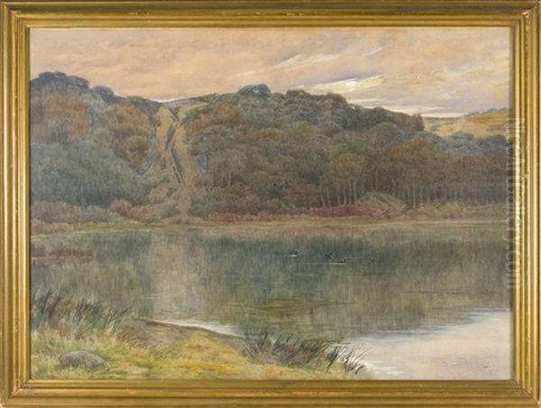 Ducks On A Pond Oil Painting by J. Ambrose Pritchard