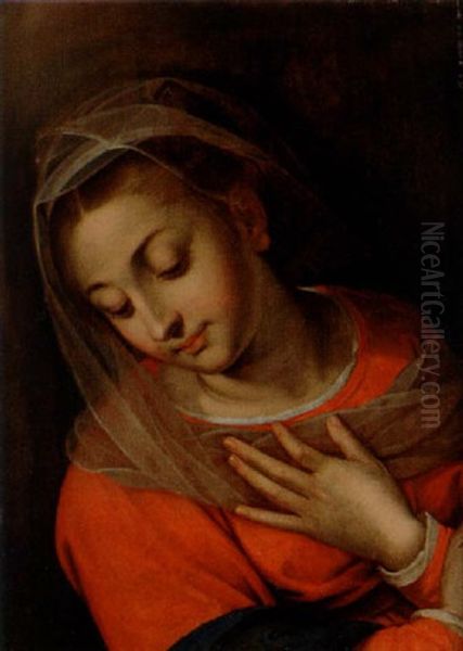 Madonna Oil Painting by Ercole Procaccini the Elder