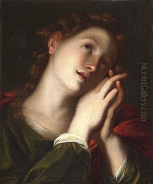 Testa Di Santo Oil Painting by Giulio Cesare Procaccini