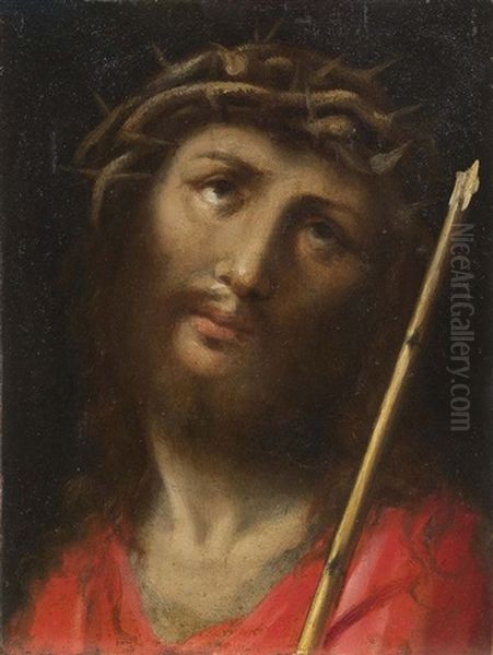 Testa Di Cristo Coronata Di Spine Oil Painting by Giulio Cesare Procaccini