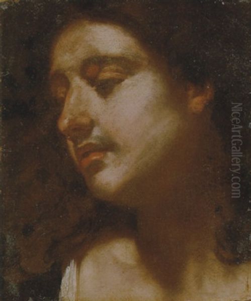 Testa Maschile Oil Painting by Giulio Cesare Procaccini