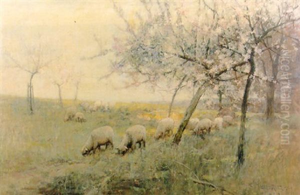 Sheep Grazing In An Orchard Oil Painting by Adam Edwin Proctor