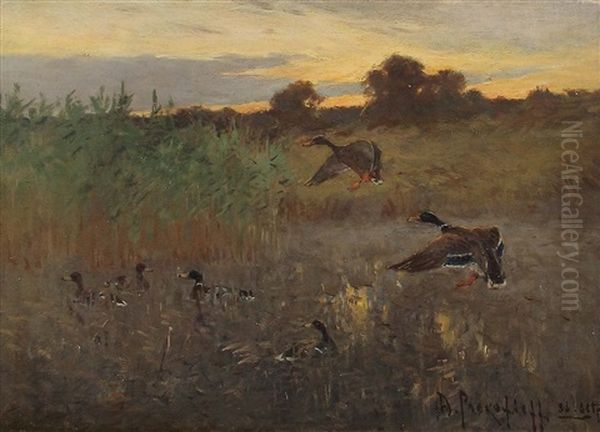 Wildenten In Moorlandschaft Oil Painting by Dimitri Von Prokofiev