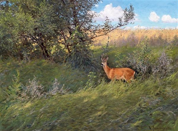 Rehbock In Einer Sommerlandschaft Oil Painting by Dimitri Von Prokofiev