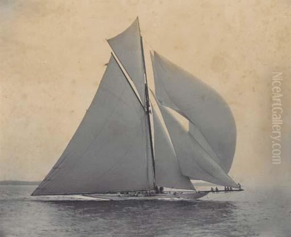 Columbia Racing; Columbia Vs. Shamrock; A New York Yacht Clubmembers Trial Race Prior To 1898 Oil Painting by Charles E. Bolles