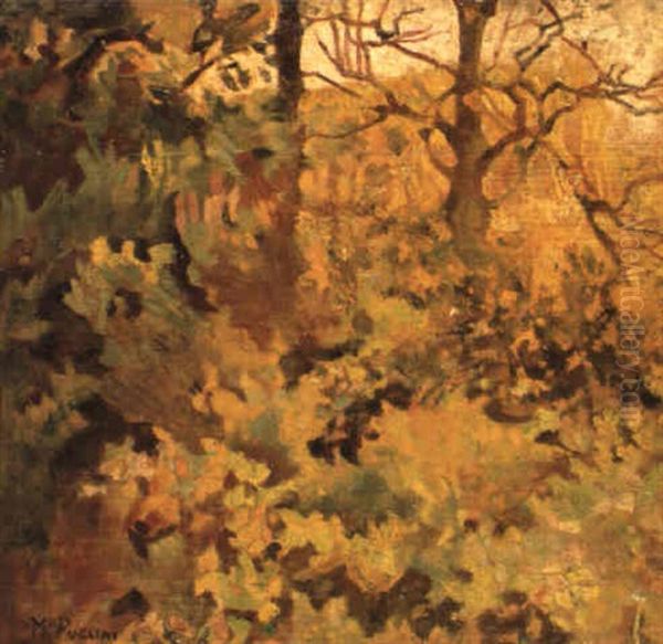 Macchia- Effetti Di Giallo- Boscaglia In Autunno Oil Painting by Mario Puccini