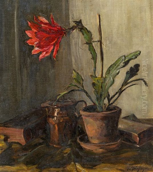 Kaktuspflanze Oil Painting by Erwin Puchinger