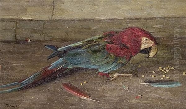 Macaw Oil Painting by Viktor Pucinski