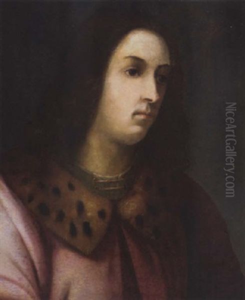 Portrait Of Lorenzo Pierfrancesco Di Lorenzo Vecchio De' Medici Oil Painting by Domenico Puligo