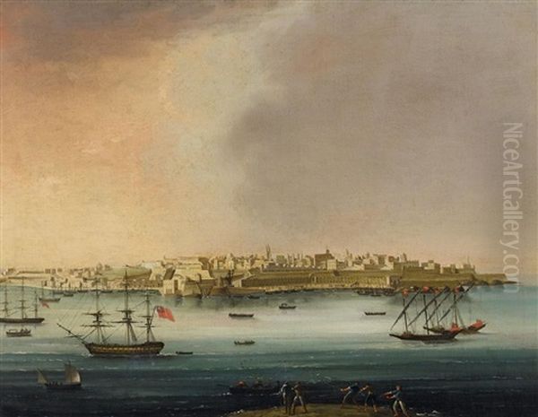 Pulicino_alberto Ansicht Des Hafens Von Valetta, Malta Oil Painting by Alberto Pullicino