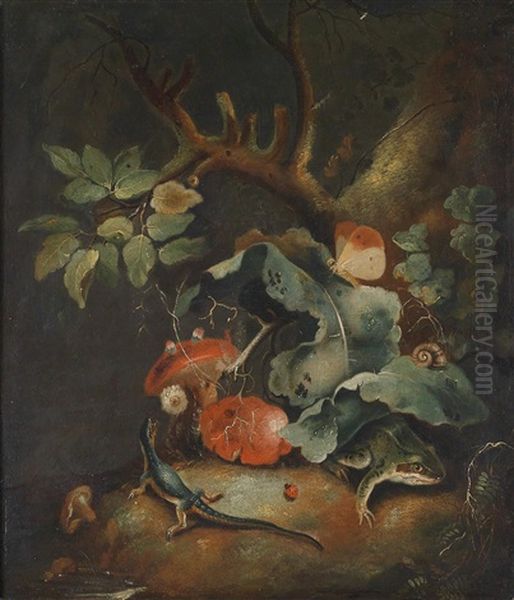 Ein Sous-bois Stilleben Mit Buchfink; Ein Sous-bois Stillleben Mit Einem Frosch, Einer Echse Und Einem Schmetterling (pair) Oil Painting by Franz Michael Sigmund von Purgau