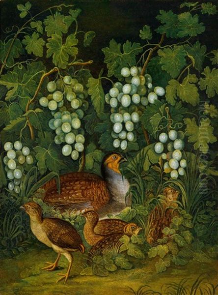 Ein Perlhuhn Mit Seinen Kuken Unter Weinstocken Oil Painting by Franz Michael Sigmund von Purgau