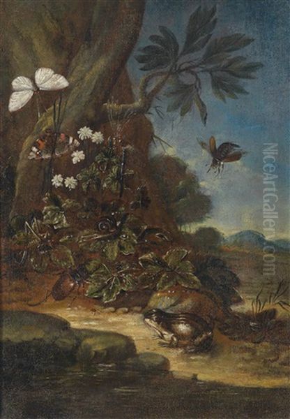 Waldesgrundstillleben Mit Einem Frosch, Einem Schmetterling Und Insekten Oil Painting by Franz Michael Sigmund von Purgau