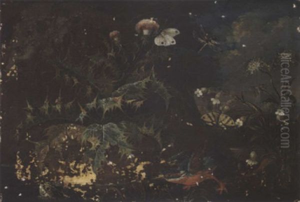 A Forest Floor With A Kingfisher And A Frog Oil Painting by Franz Michael Sigmund von Purgau