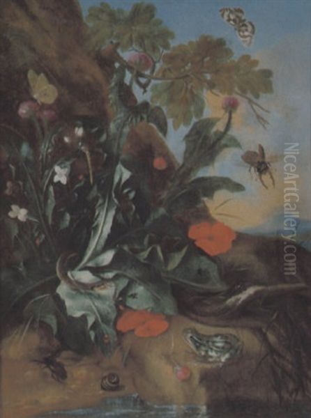 Waldesgrund Mit Distel, Frosch, Schnecke Und Insekten Oil Painting by Franz Michael Sigmund von Purgau