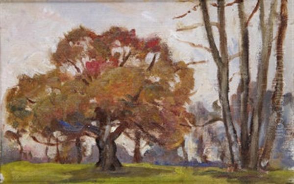 Trees At Mespil House Oil Painting by Sarah Henrietta Purser