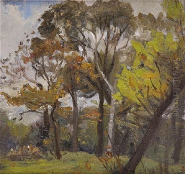 Trees Near Mespil House Oil Painting by Sarah Henrietta Purser