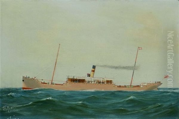 The Steamer Mexican Prince, The Steamer Umvotia (+ 2 Others, 3 Works) Oil Painting by T.G. Purvis